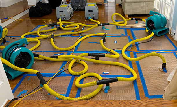 Professional Sewage Cleanup technician working in Institute, WV